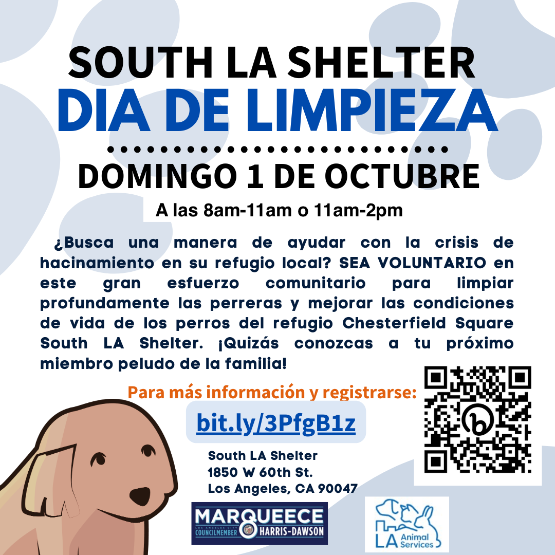 Clean Up Flyer Spanish
