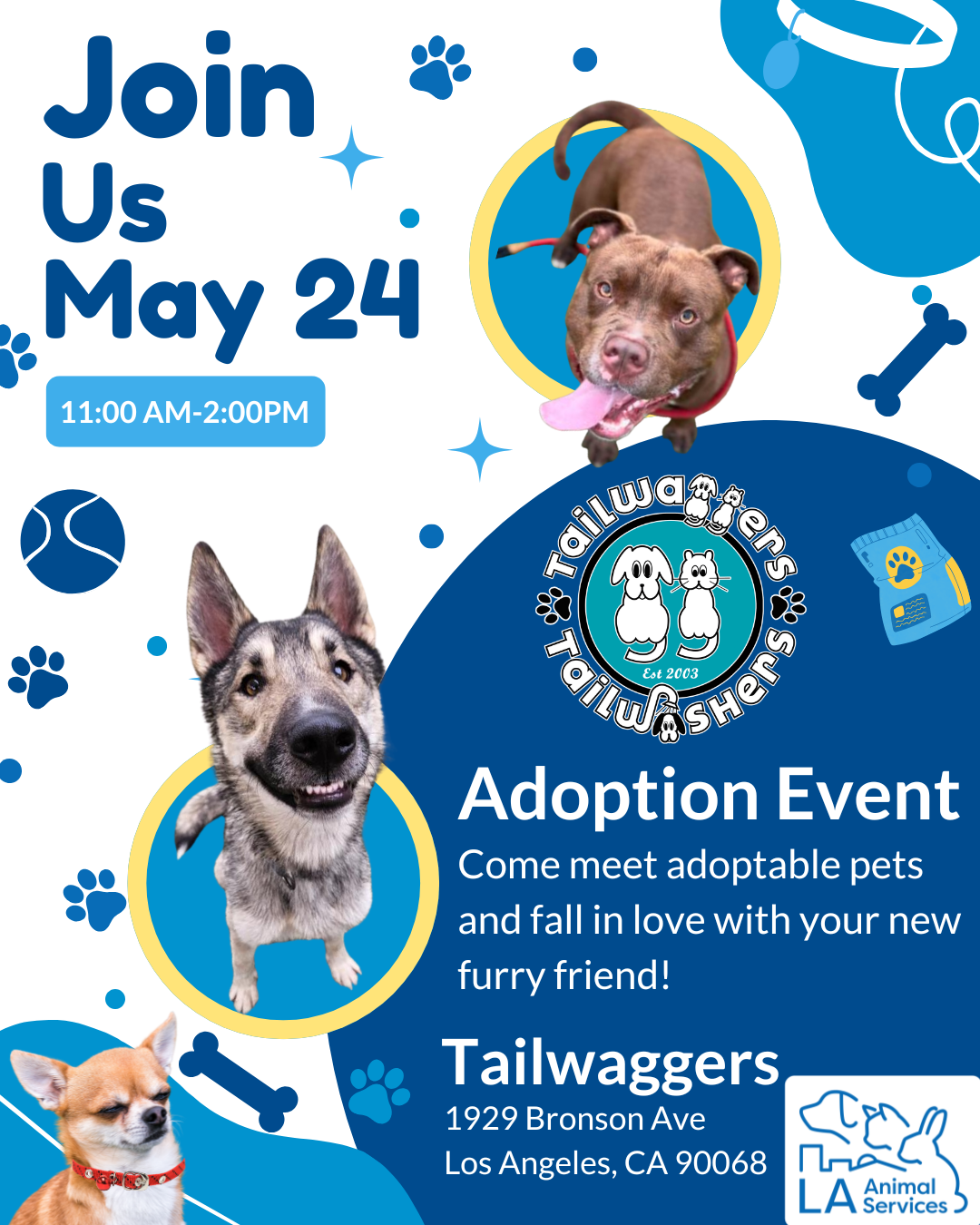 Tailwaggers Adoption Event Hollywood Flyer