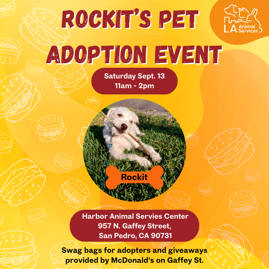 Rockit's Adoption Event Graphic