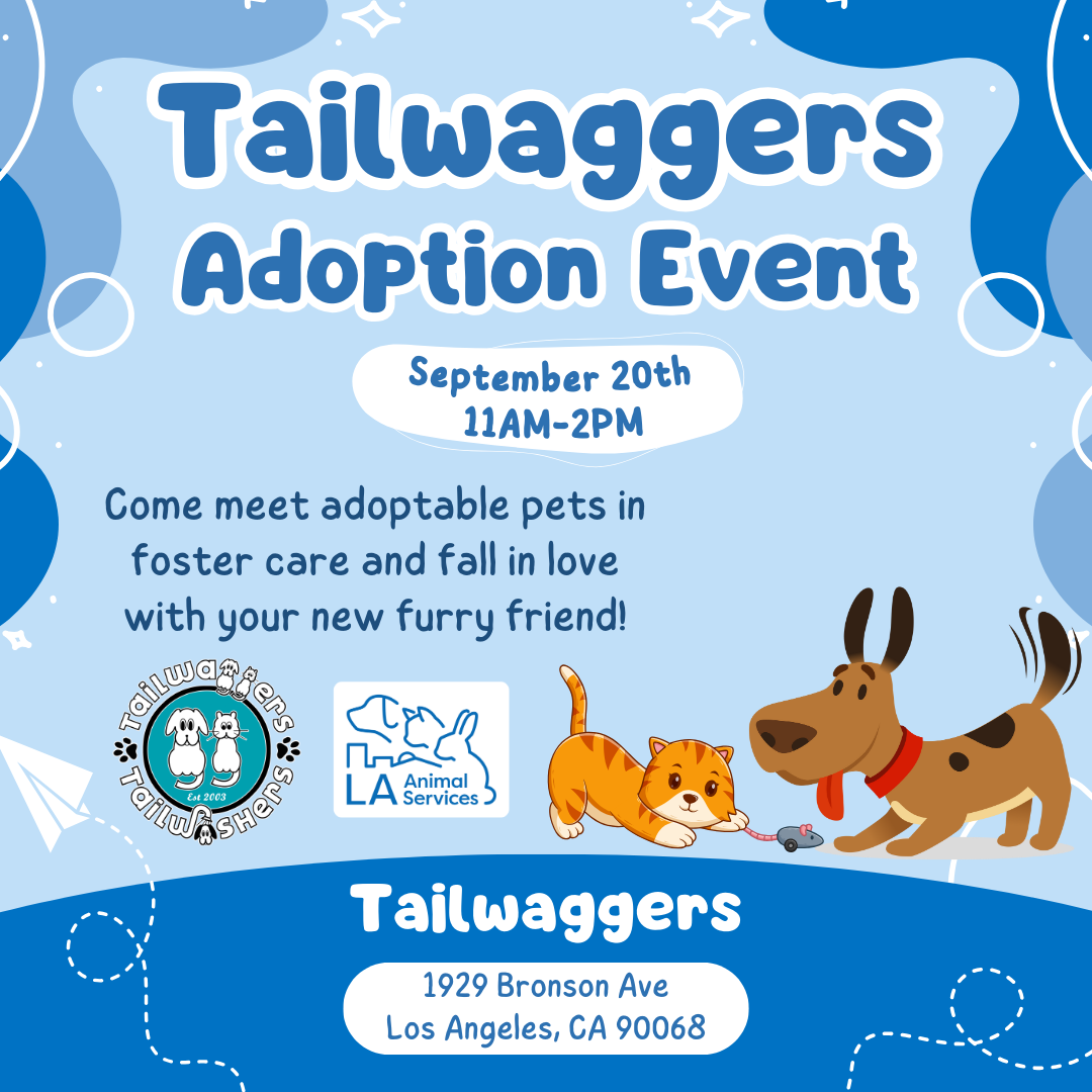 Tailwaggers Adoption Event Hollywood 