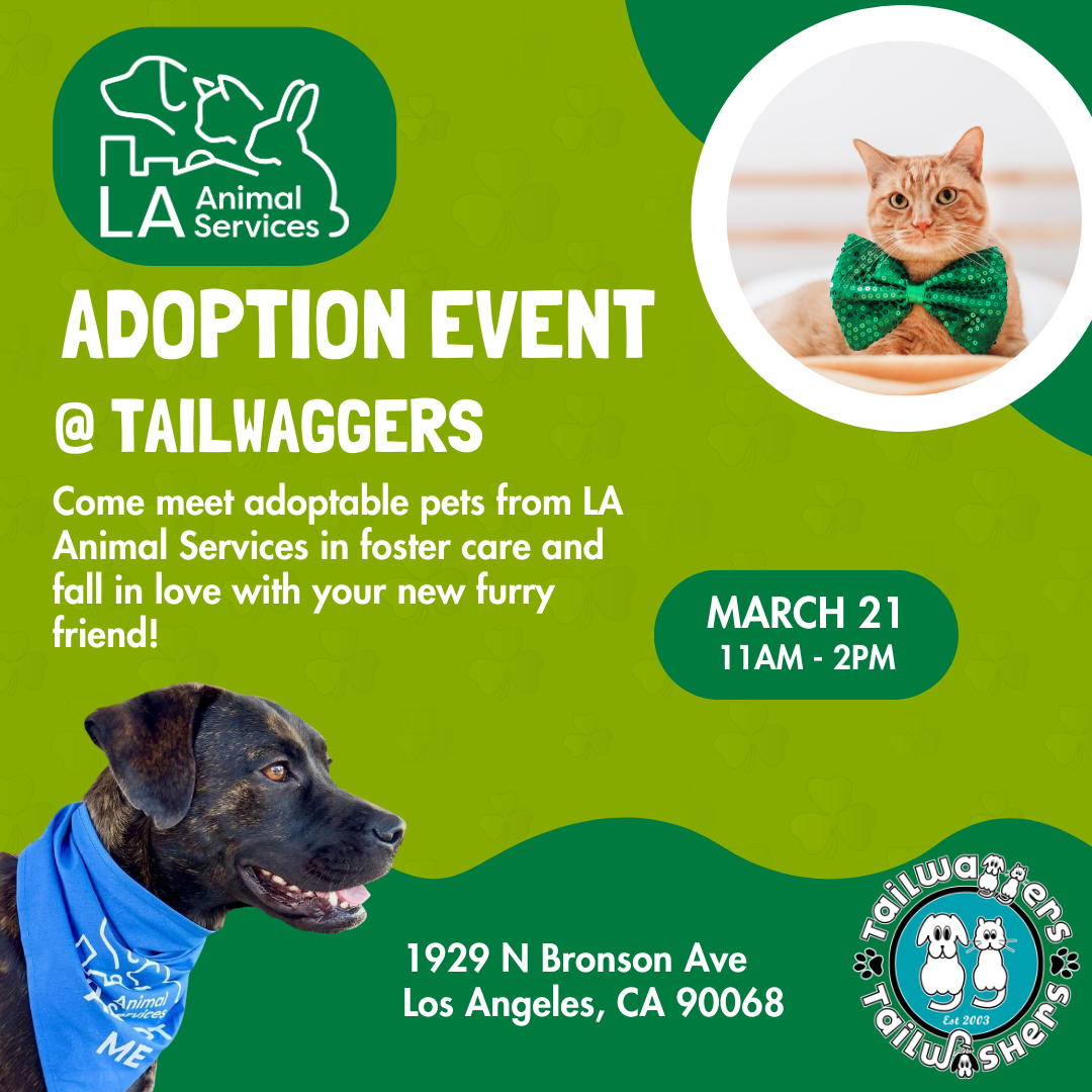 Tailwaggers Adoption Event Hollywood 