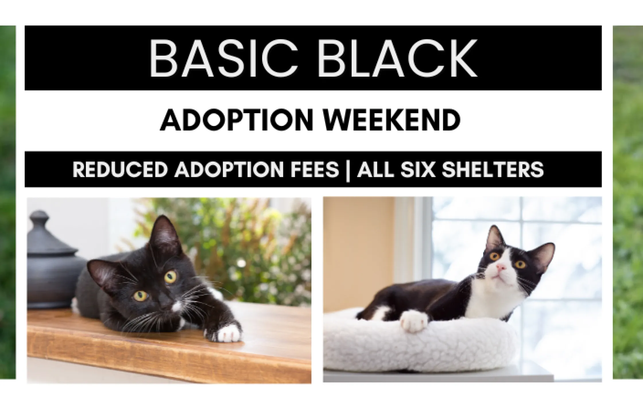 Basic Black Weekend No Date on Graphic