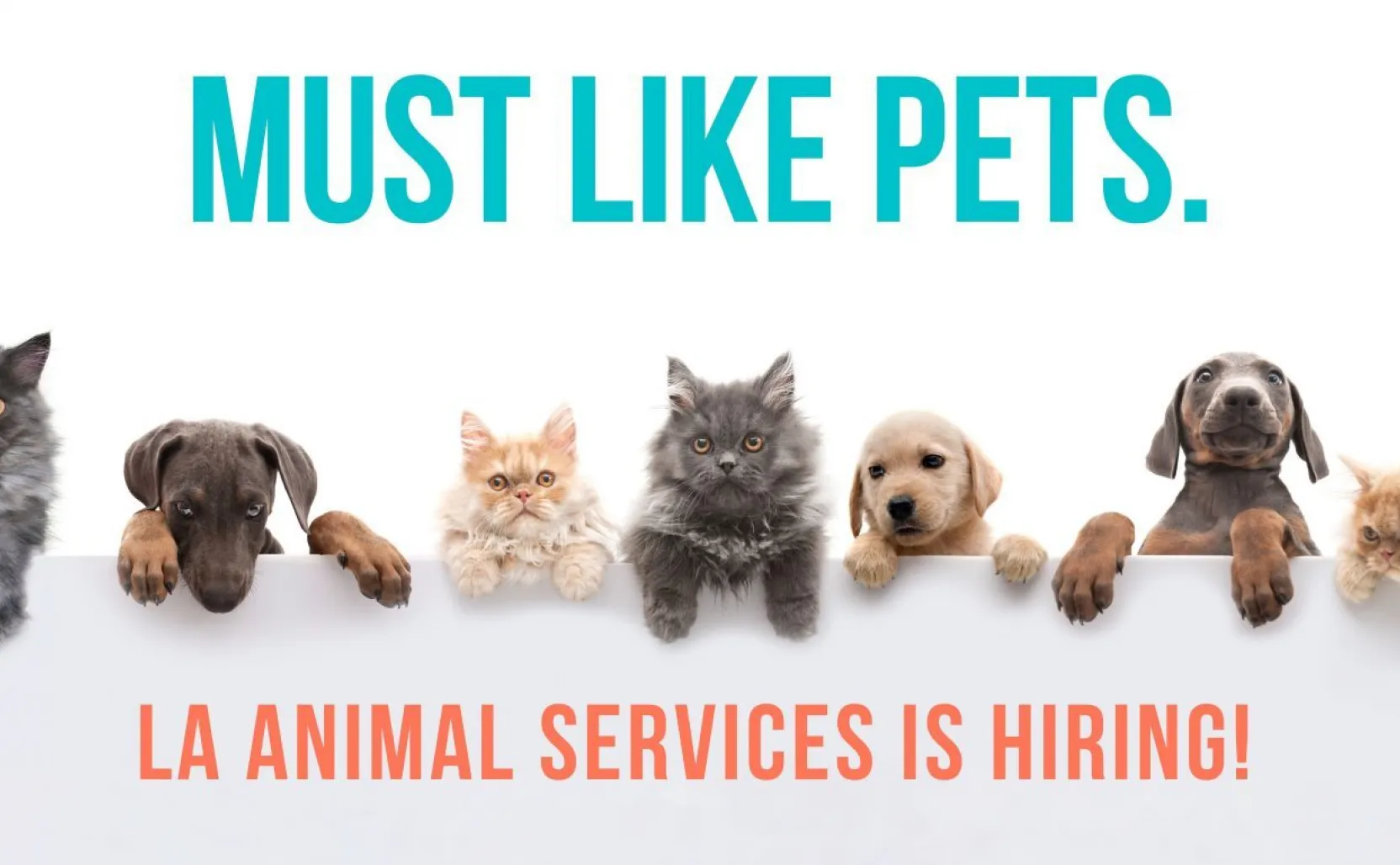 LA Animal Services is Hiring!
