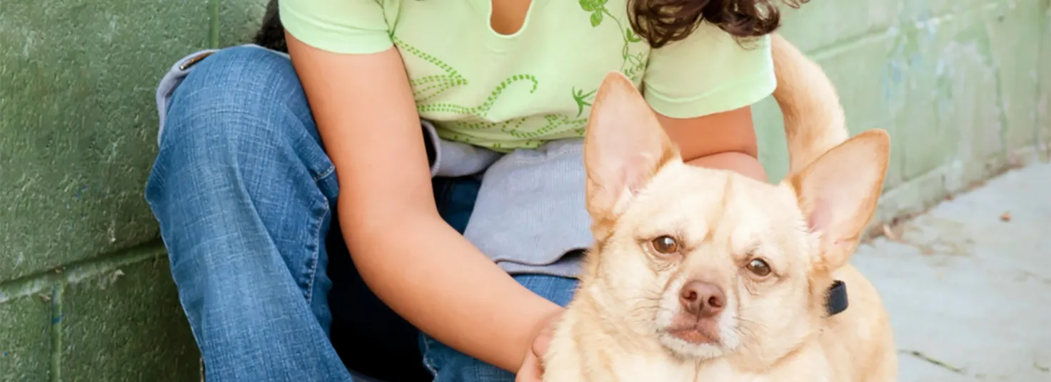 Lost Pets | LA Animal Services Lost Pets | LA Animal Services
