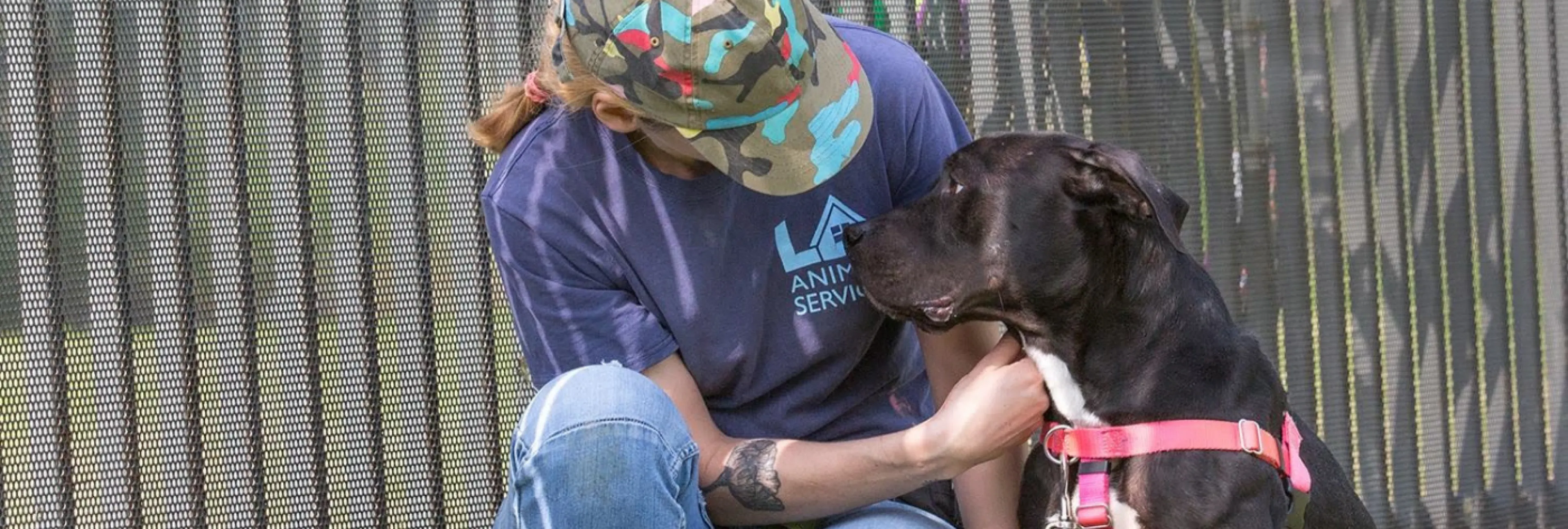 Careers | LA Animal Services Careers | LA Animal Services