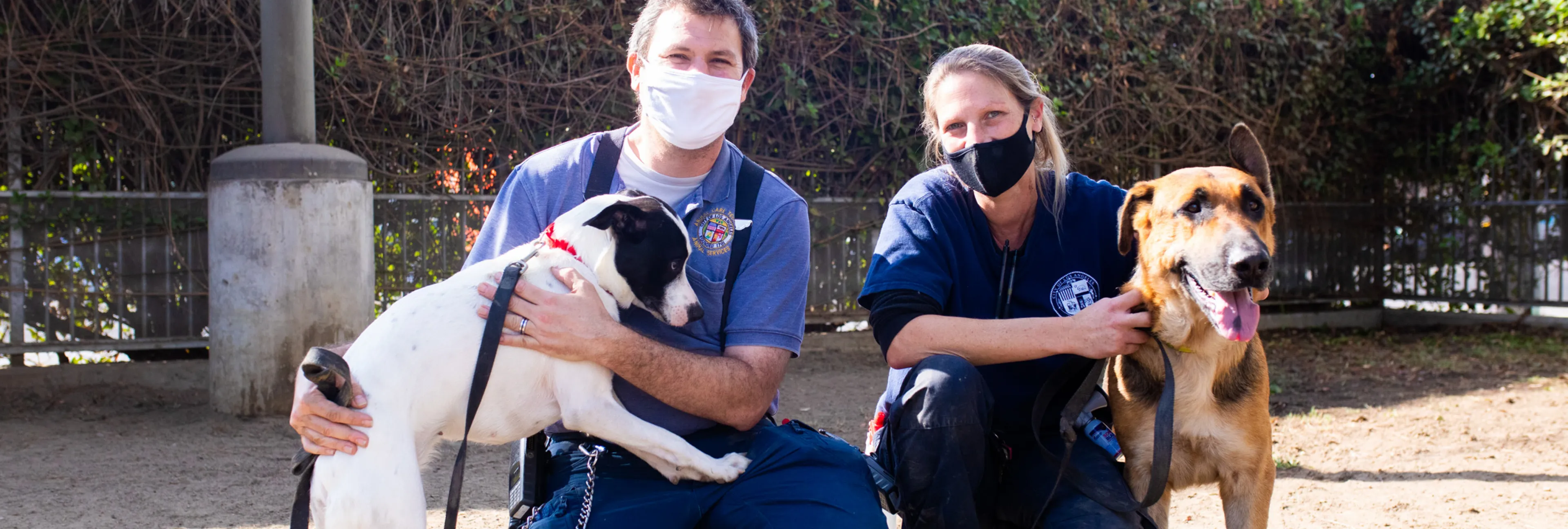 Ways to Donate | LA Animal Services Ways to Donate | LA Animal Services