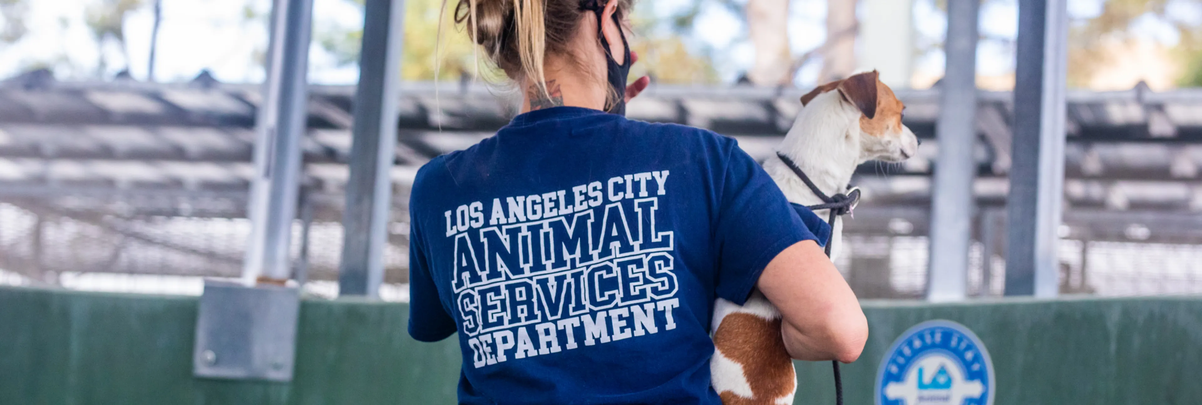 Press Releases | LA Animal Services