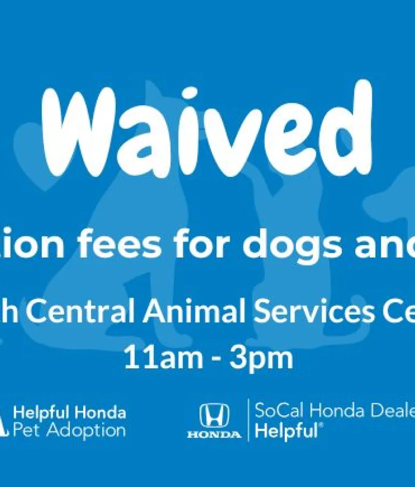Honda Adoption Event graphic with text about the event 
