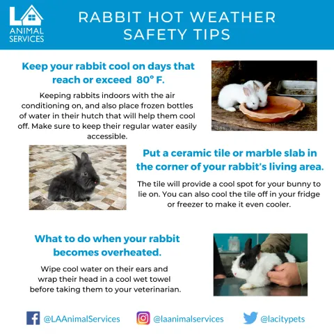 tip-hot-weather