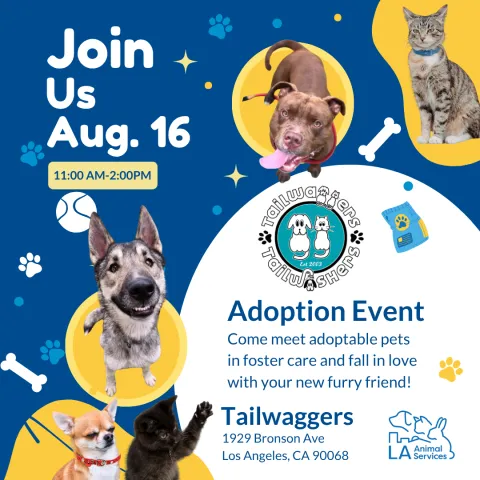 Tailwaggers Social Post