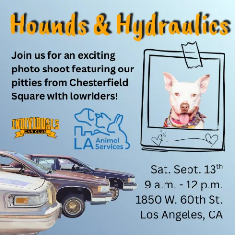 Hounds & Hydraulics