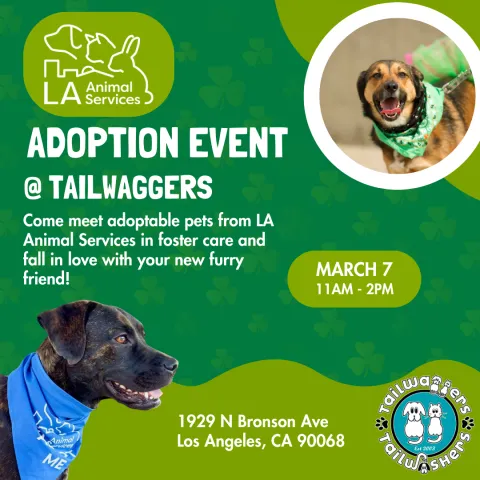 Tailwaggers Adoption Event Hollywood 