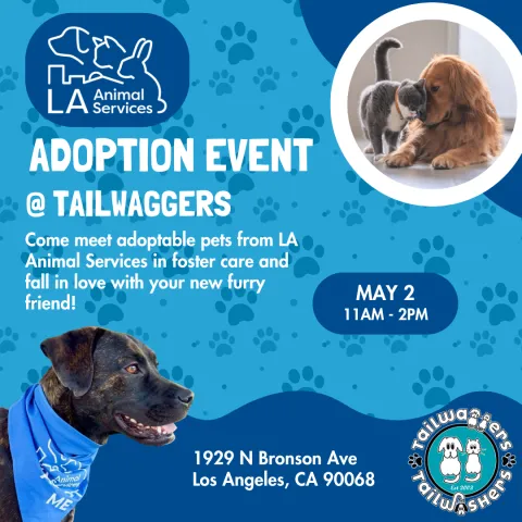 Graphic for Tailwaggers Adoption Event in Hollywood, has text and images of pets